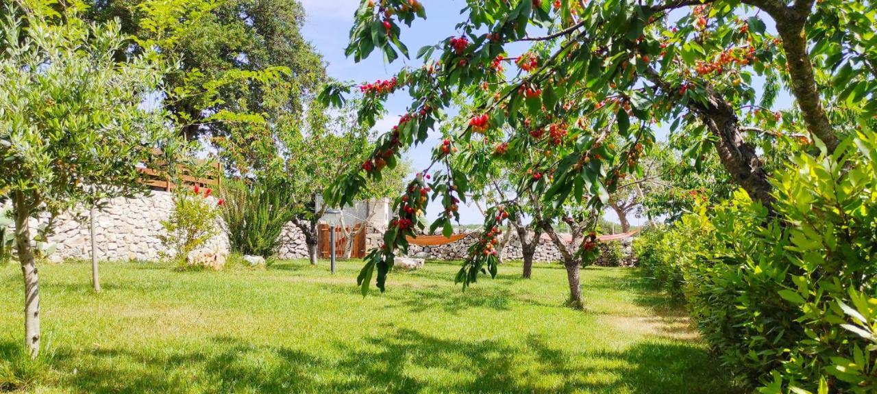 Red Rose B&B Martina Franca Exteriör bild